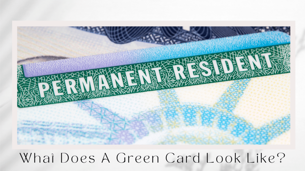what does a green card look like
