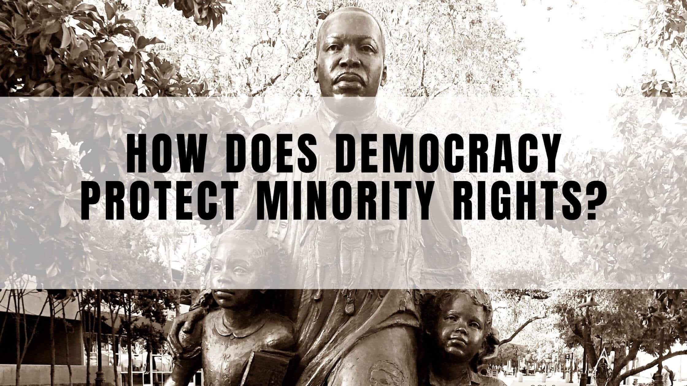 How Do Democracy Protect Minority Rights