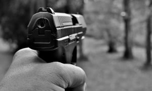 Photo of a hand gun