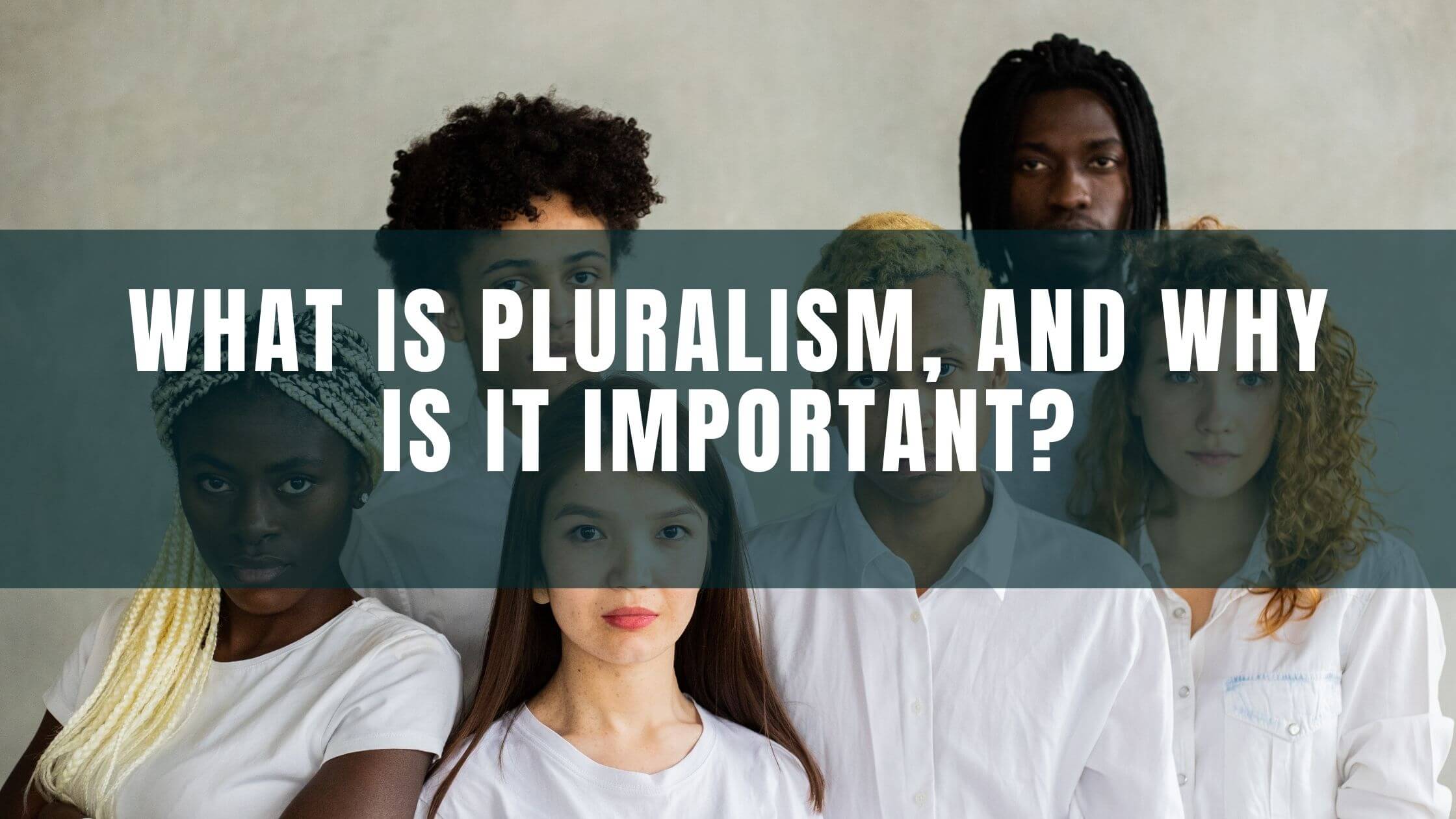 pluralist model