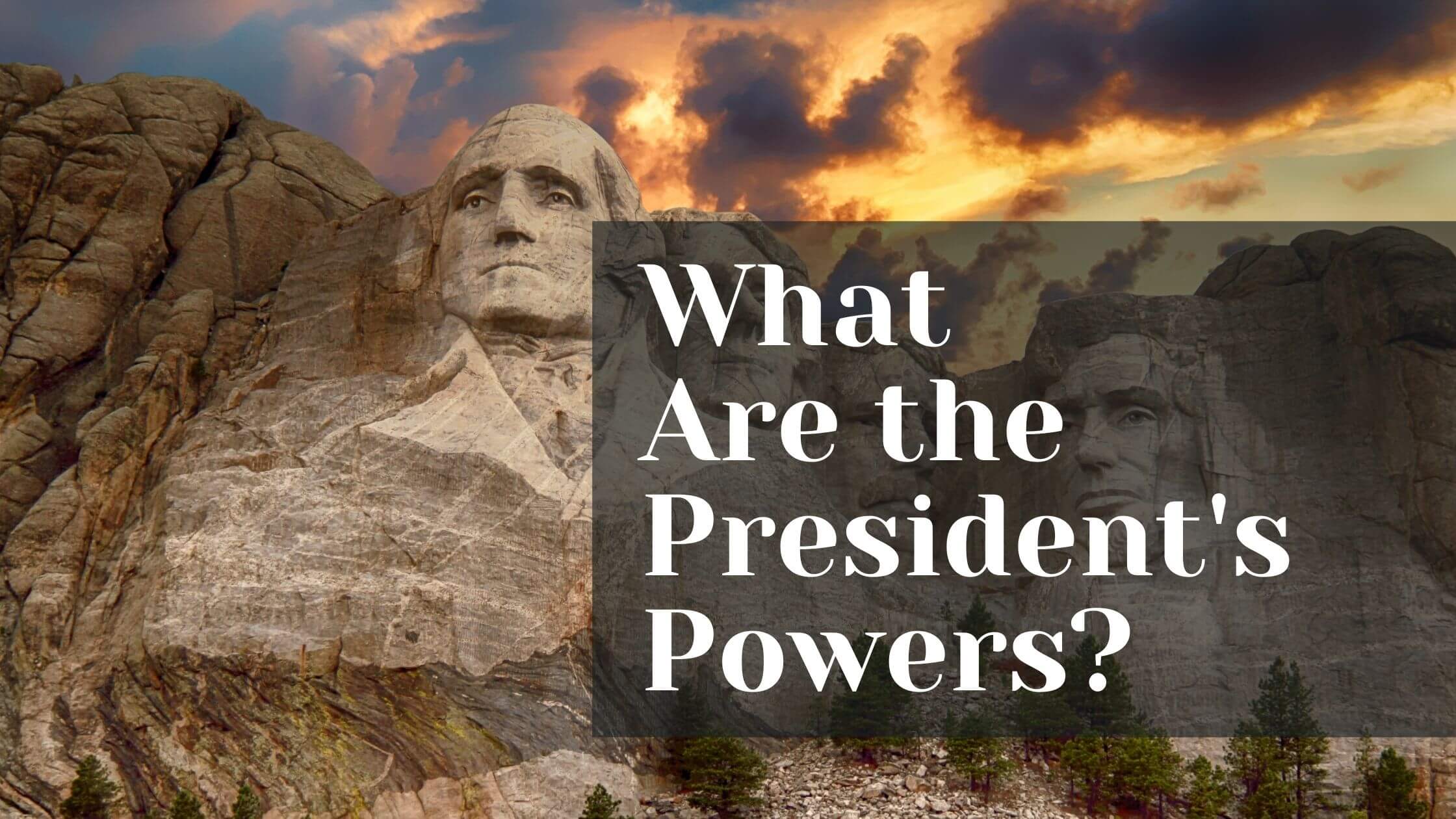 What Are The President S Wartime Powers