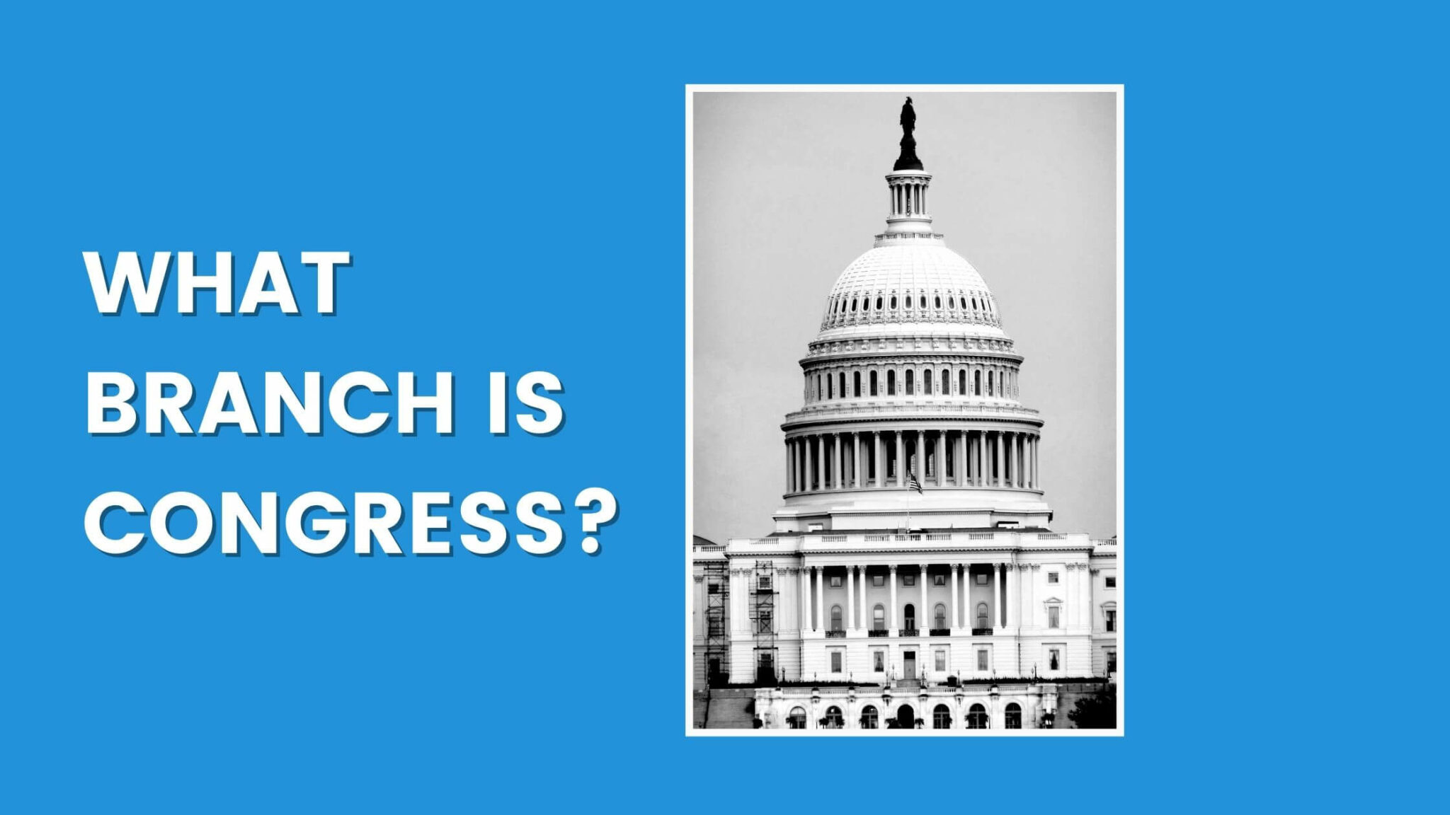 what-branch-of-the-united-states-government-is-congress