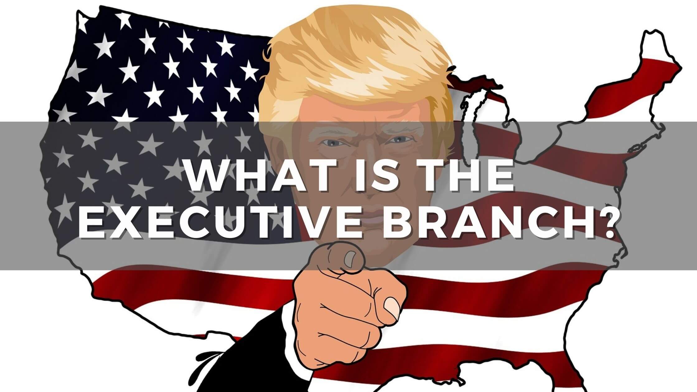 the-role-of-the-president-and-the-executive-branch