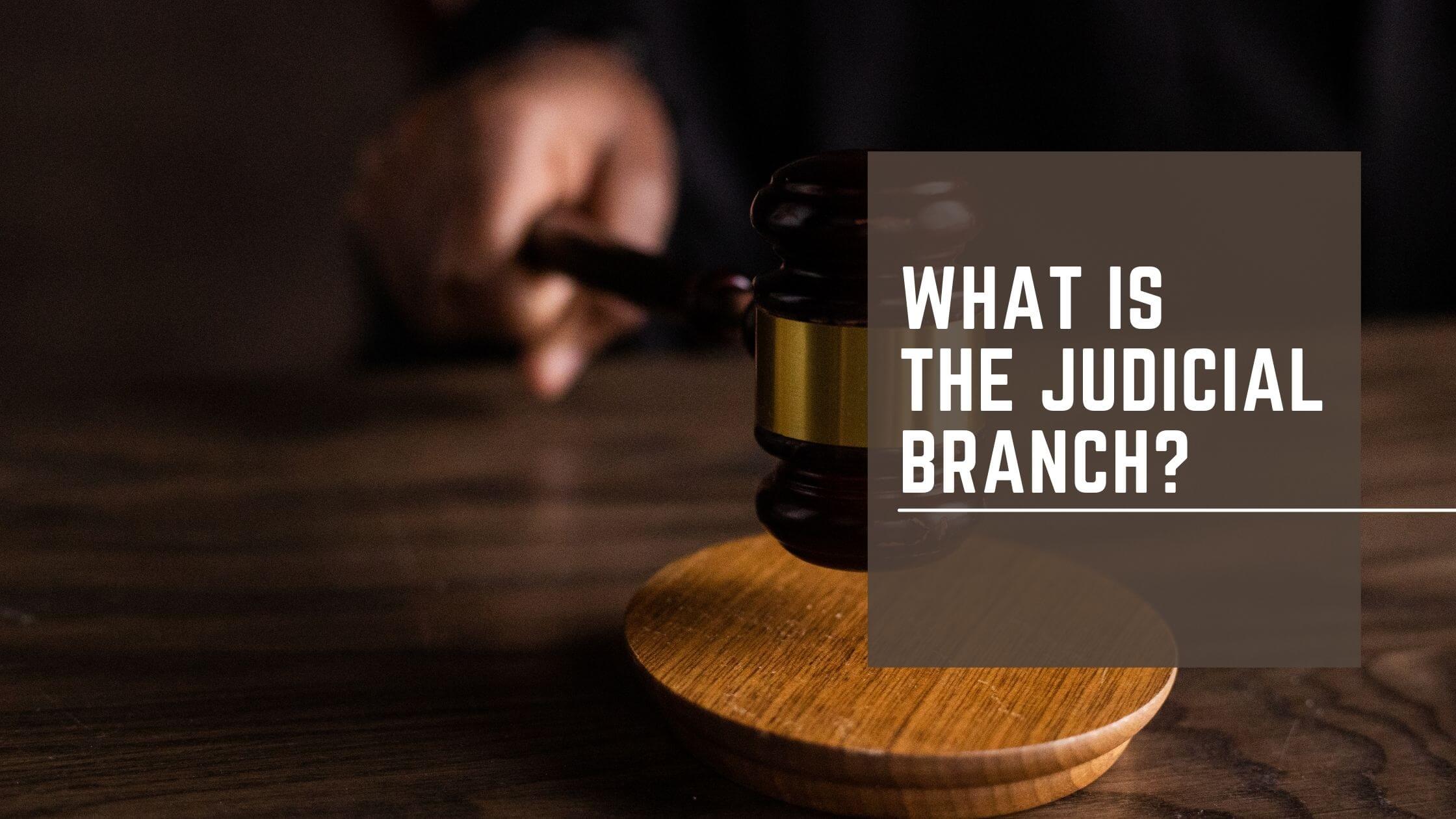 Who is involved in the best sale judicial branch