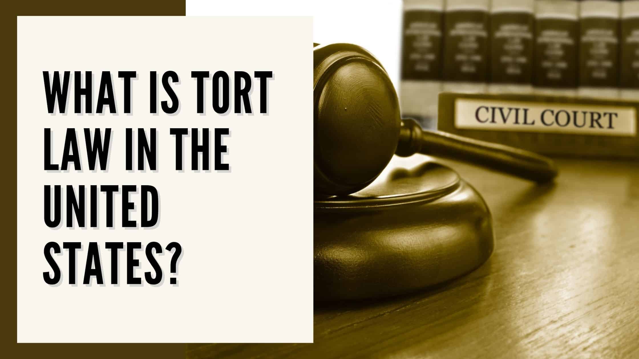 What Are Examples Of Tort Claims